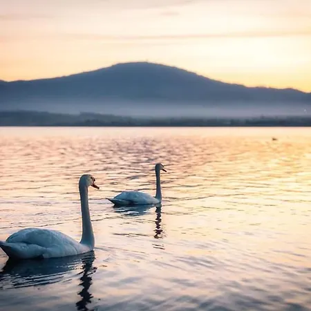Nad Jeziorem-wodnik بيت للعطل