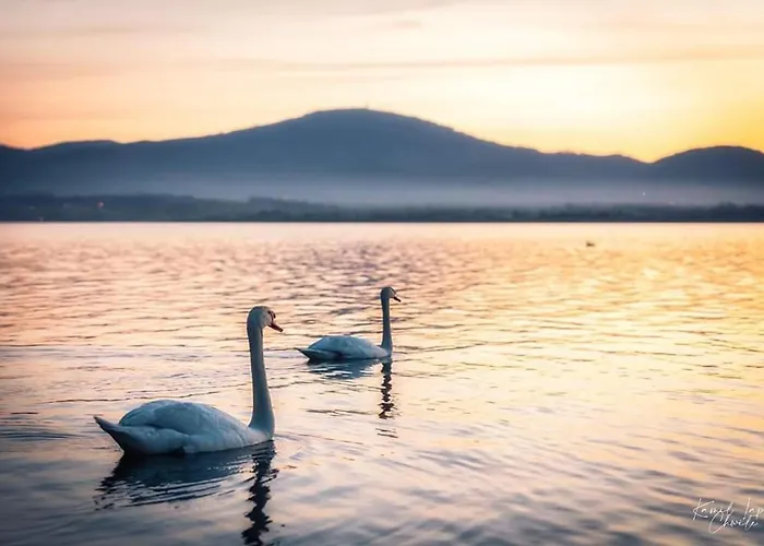 Nad Jeziorem-wodnik Dom wakacyjny